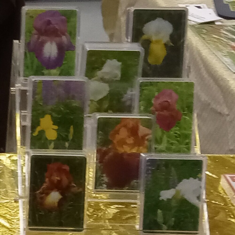 Welcome to My Garden Photo Real Iris Custom made Deck of Playing Cards